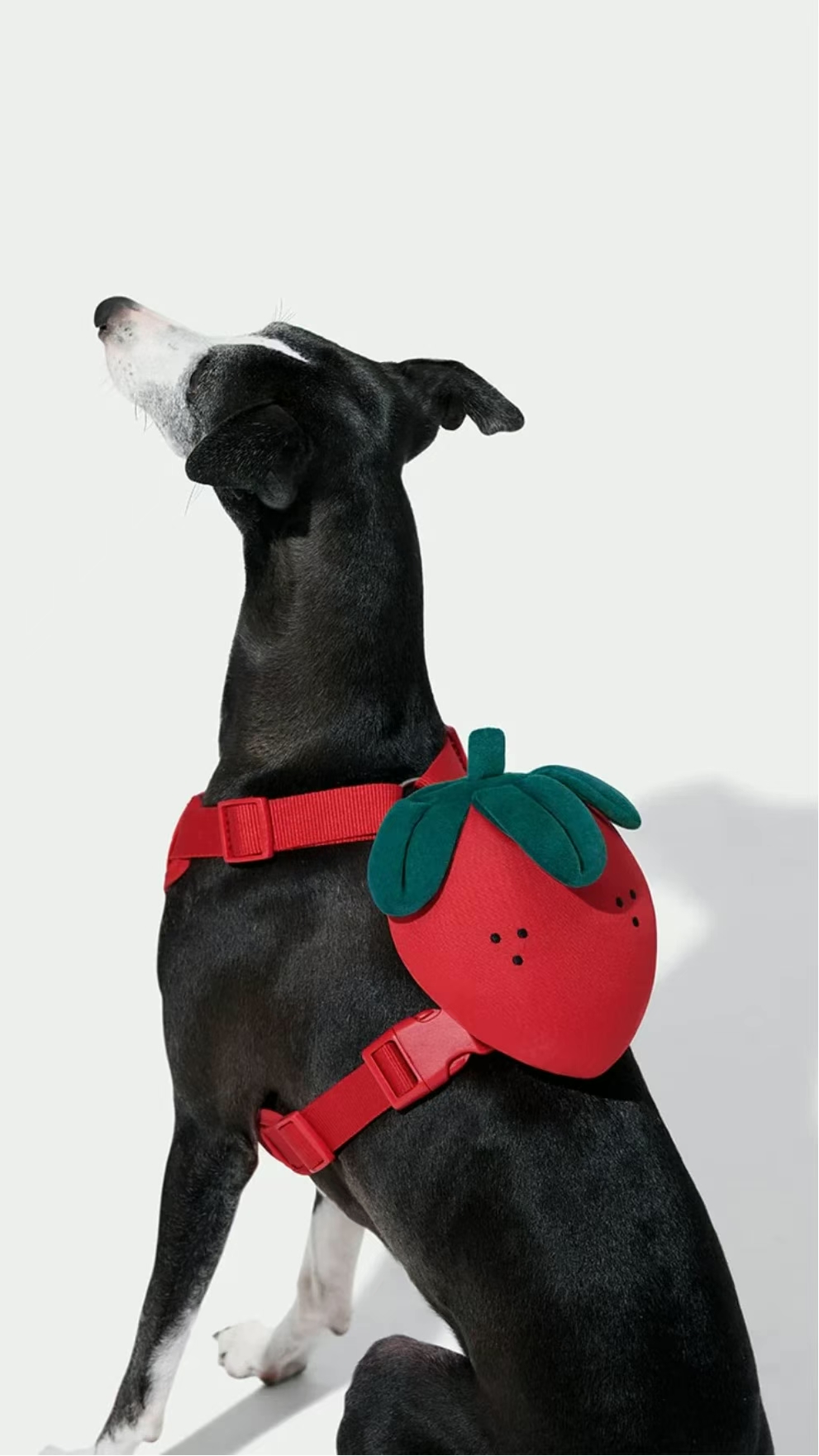 微信图片_2025-11-24_115130_282